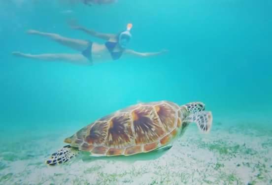 Acuario Beach Inn San Vicente  Buitenkant foto
